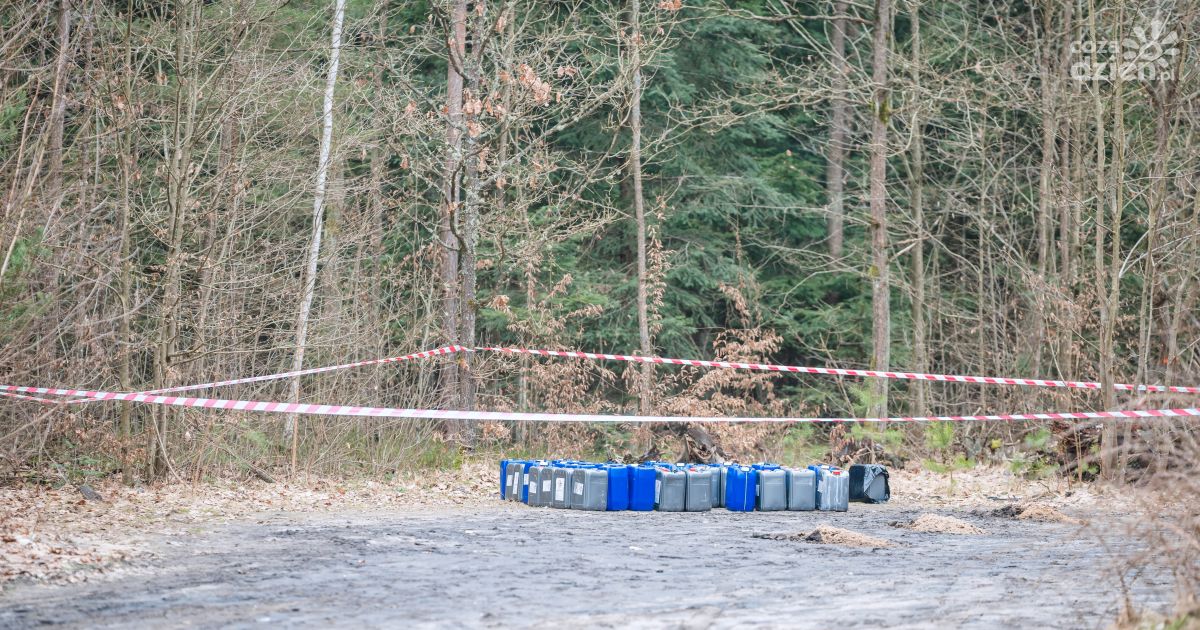 Pojemniki z chemikaliami w puszczy Są wyniki badań