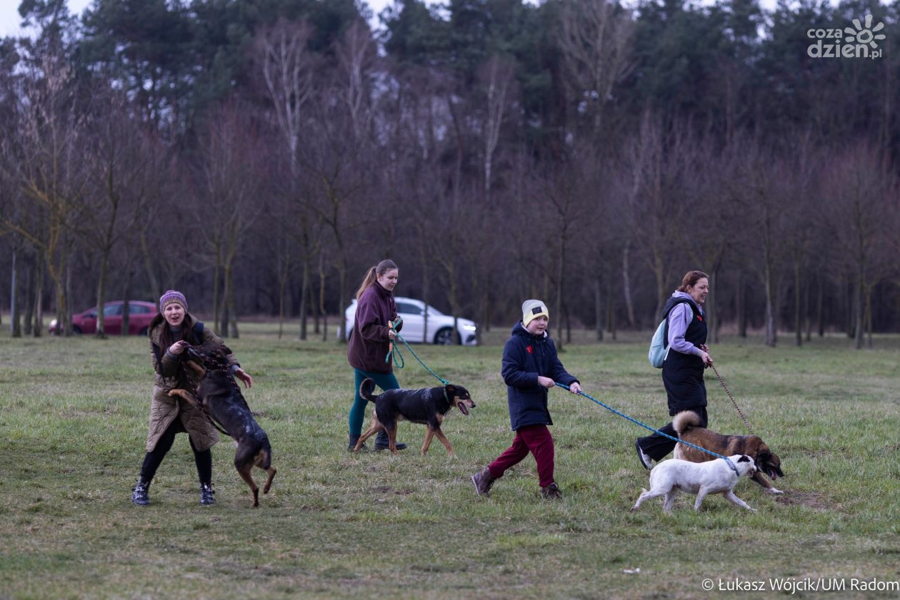 Walentynkowy Spacer Z Czworonogami