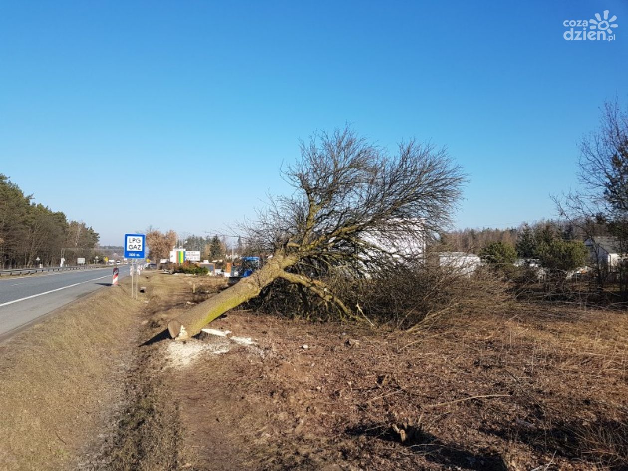 S7. Pierwsze prace rozpoczęte