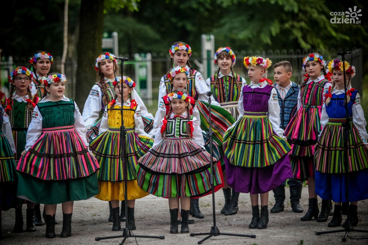 Od dąbka do dębu. Radomianie szukali ducha miasta