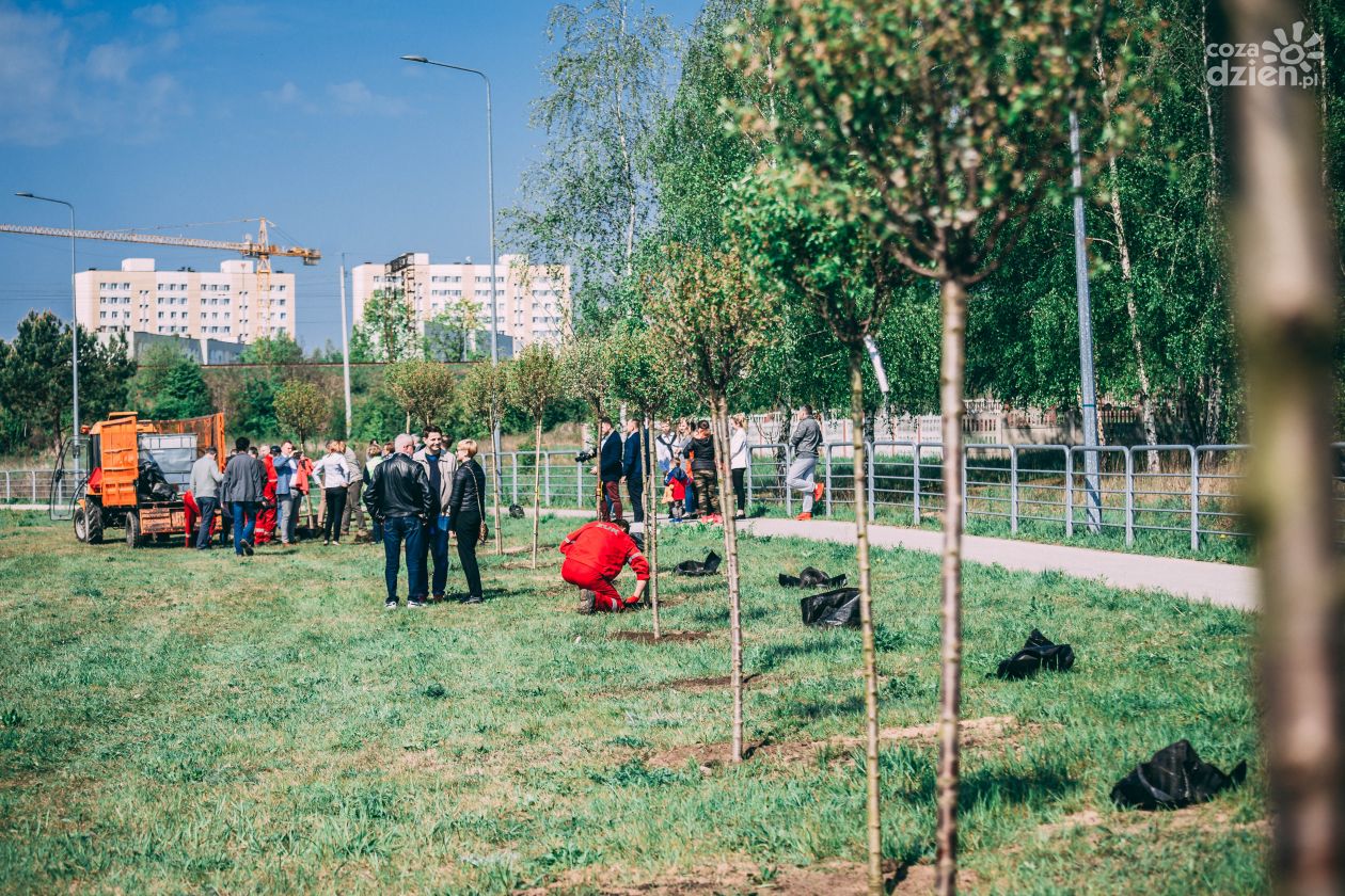 Godów. Wokół oczka będą ławki