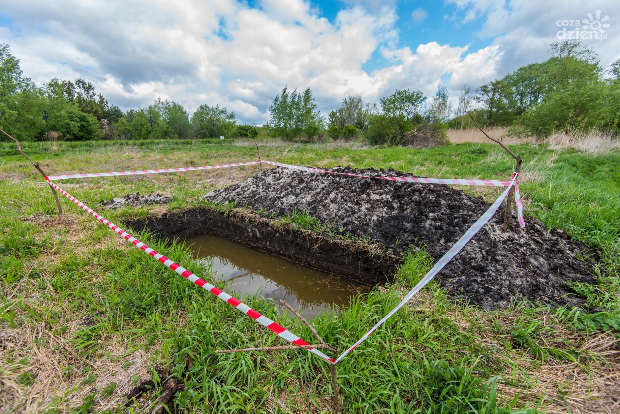 Sondażowe prace archeologiczne nad Mleczną (zdjęcia)
