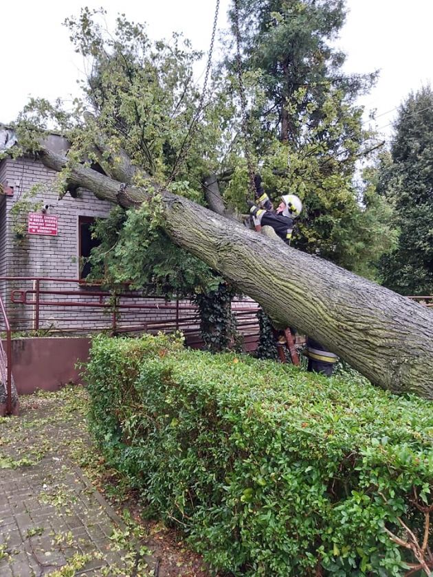 Drzewo runęło na ośrodek zdrowia 