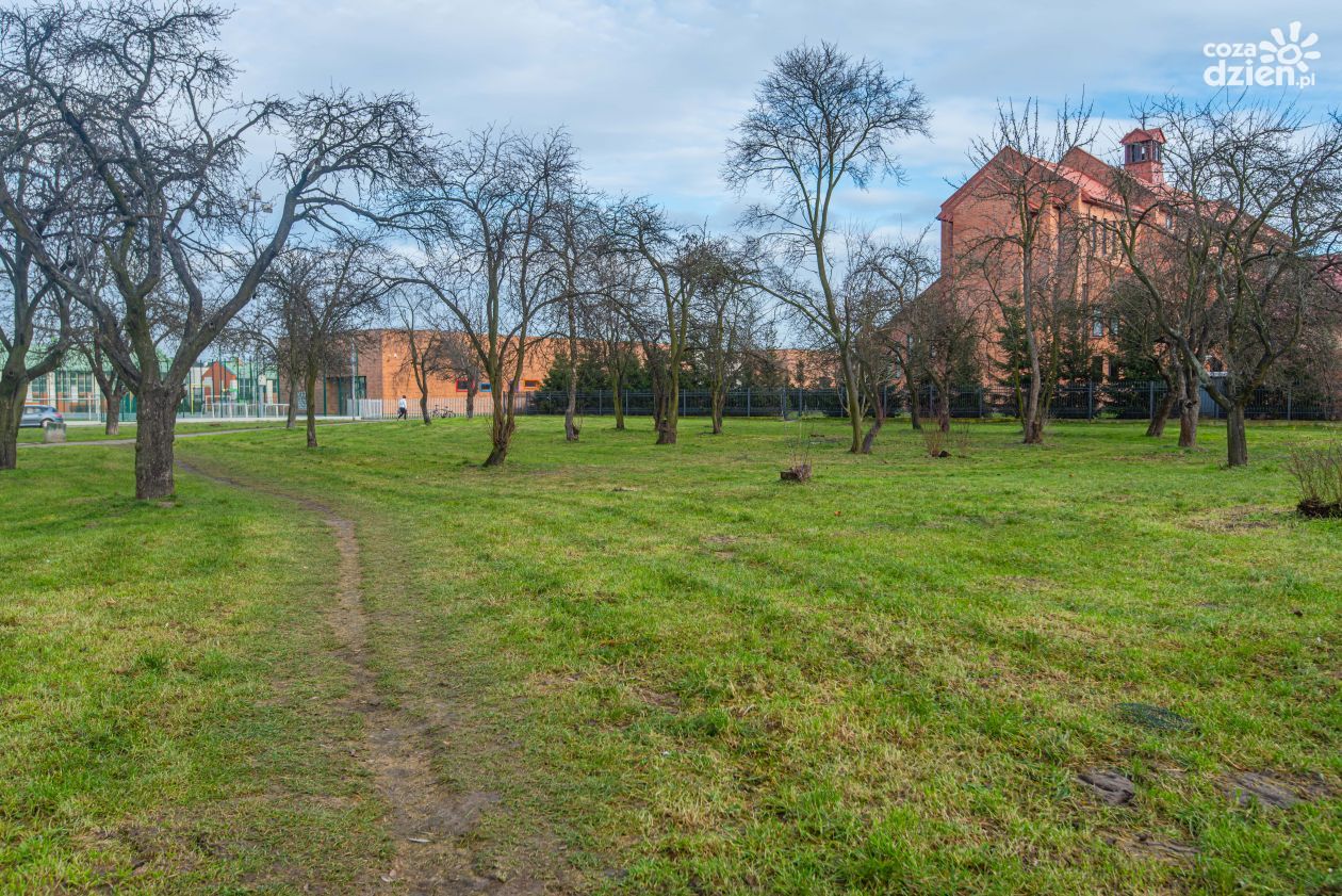 Mały park na Gołębiowie?