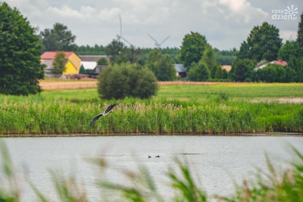 Co Za Jazda! Iłża 2021! Fotomapa trasy (zdjęcia)