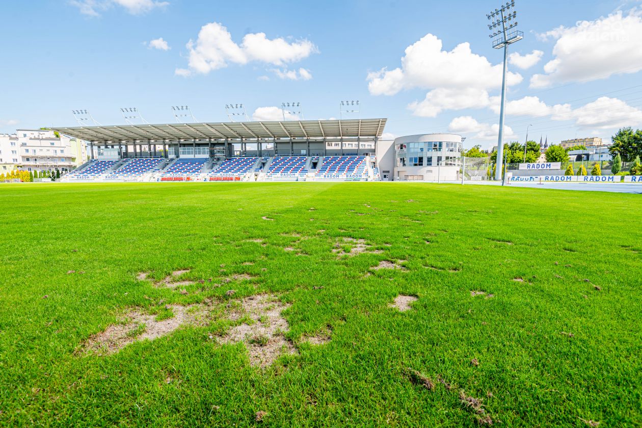 Murawę na stadionie przy Narutowicza 9 zaatakowały... gawrony