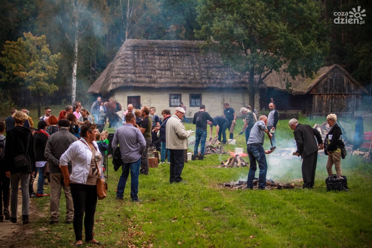 Festiwal ziemniaka