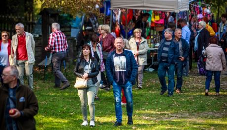 Weekendowe wydarzenia w Radomiu i regionie