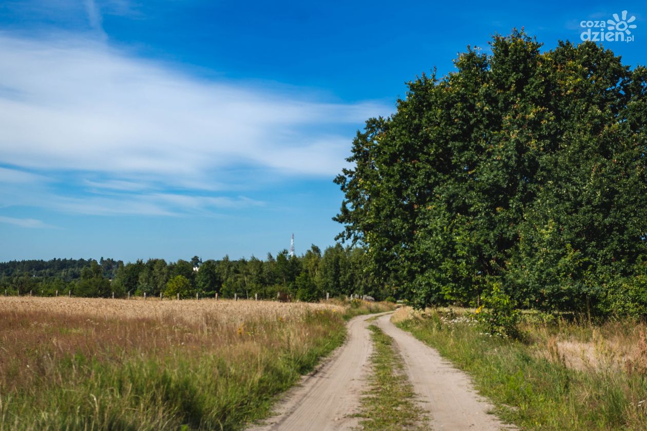 FOTO mapa Co Za Jazda! do Wierzbicy (zdjęcia)