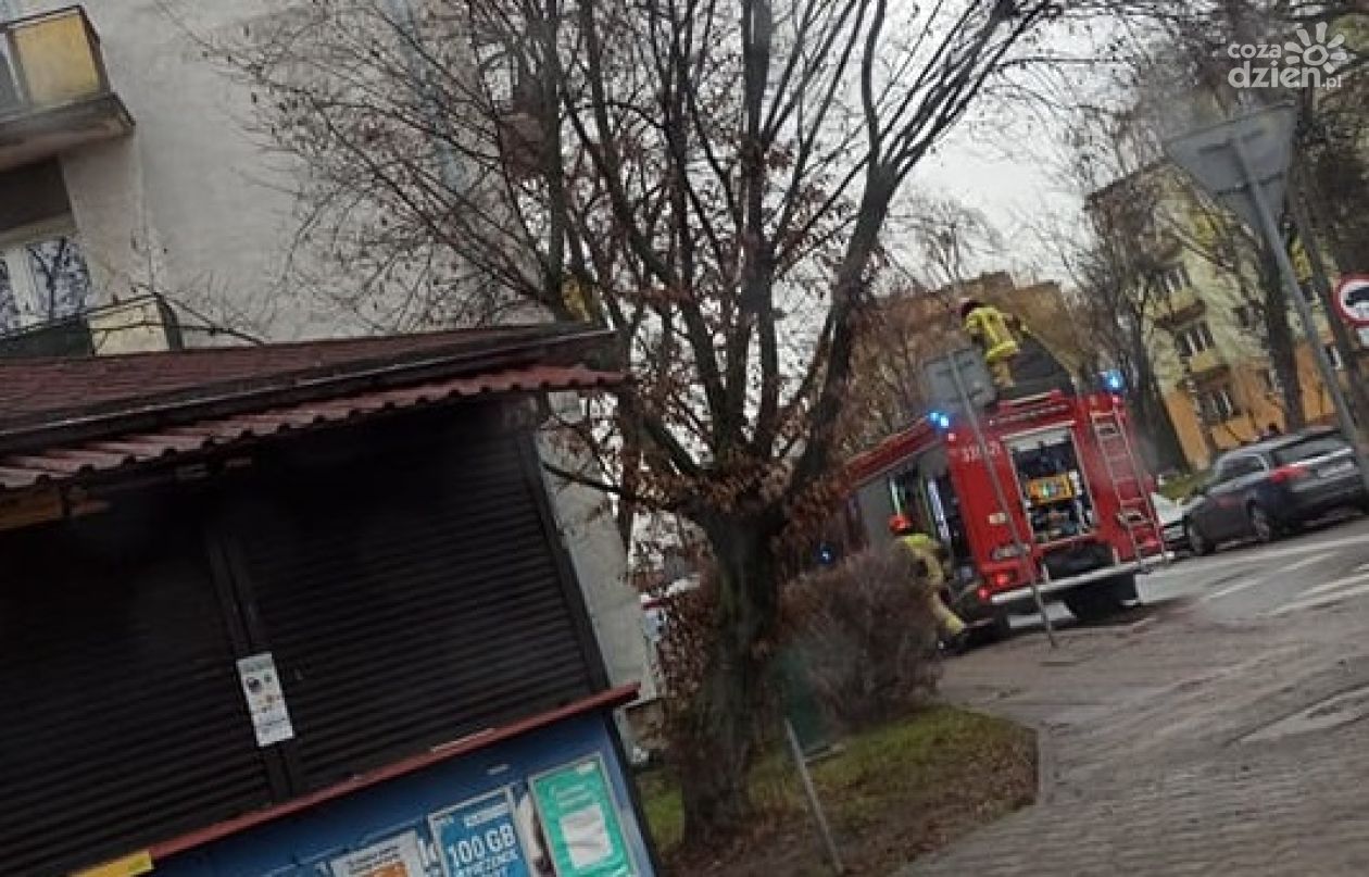 Tragiczny pożar na ul. Sportowej