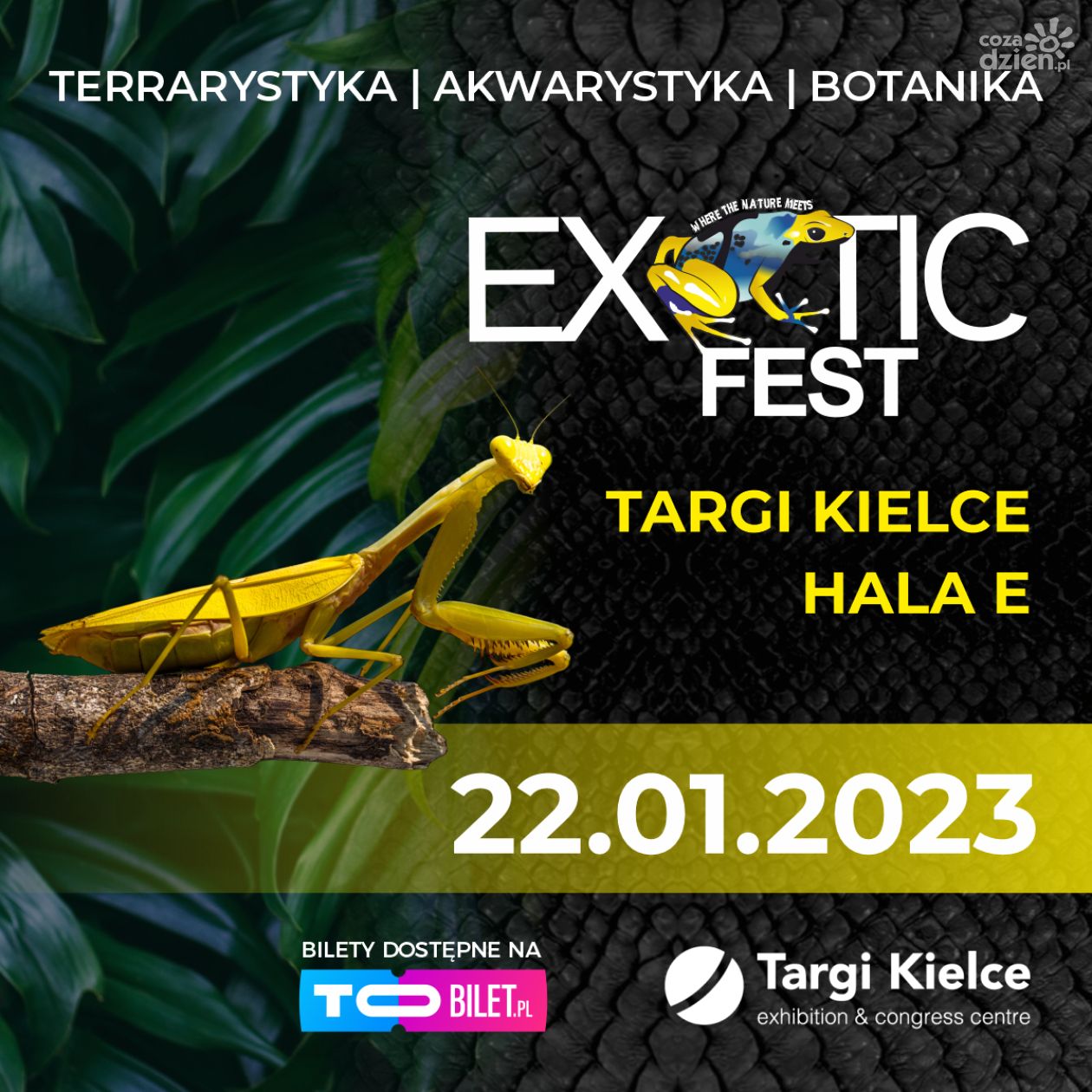 Targi terrarystyki, akwarystyki i botaniki Exotic Fest w Kielcach