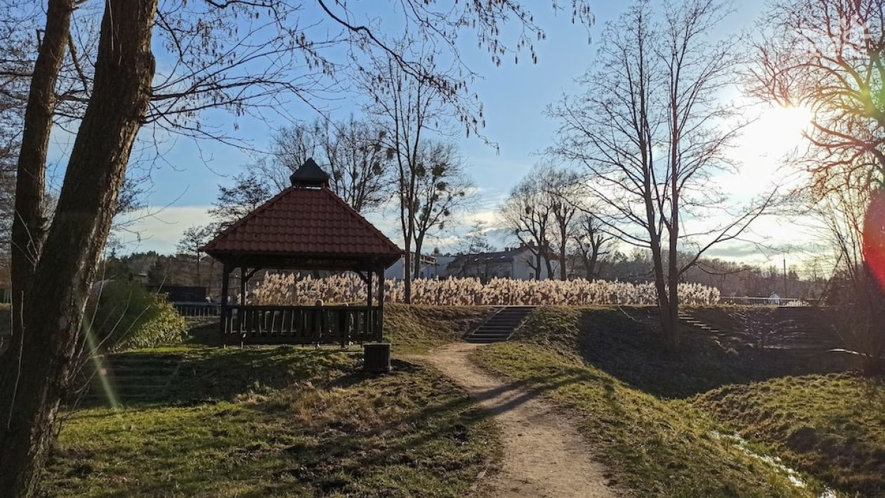 Nowoczesna altana w ogrodzie. Jak cieszyć się nią przez cały rok?