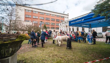 Międzynarodowy Dzień Książki (zdjęcia)