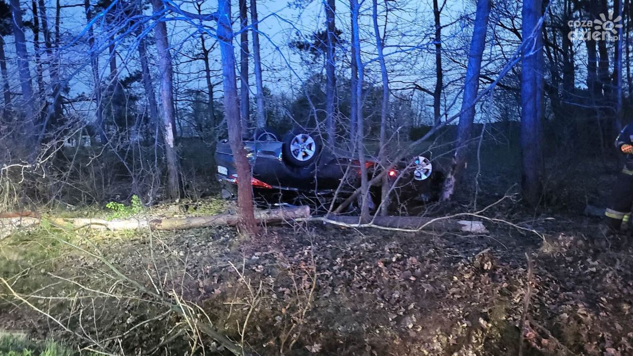 Jastrzębia. Pijany spowodował wypadek