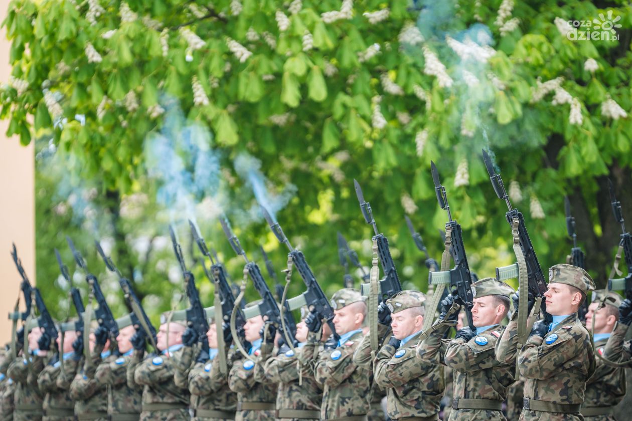 Obchody Narodowego Dnia Zwycięstwa (zdjęcia)