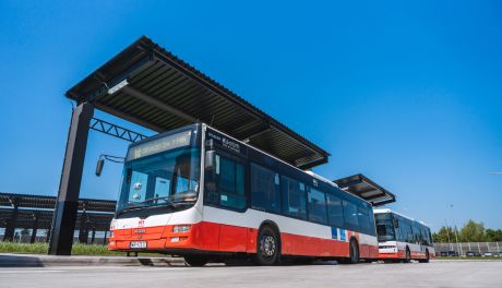 MZDiK wprowadza wakacyjne rozkłady jazdy autobusów