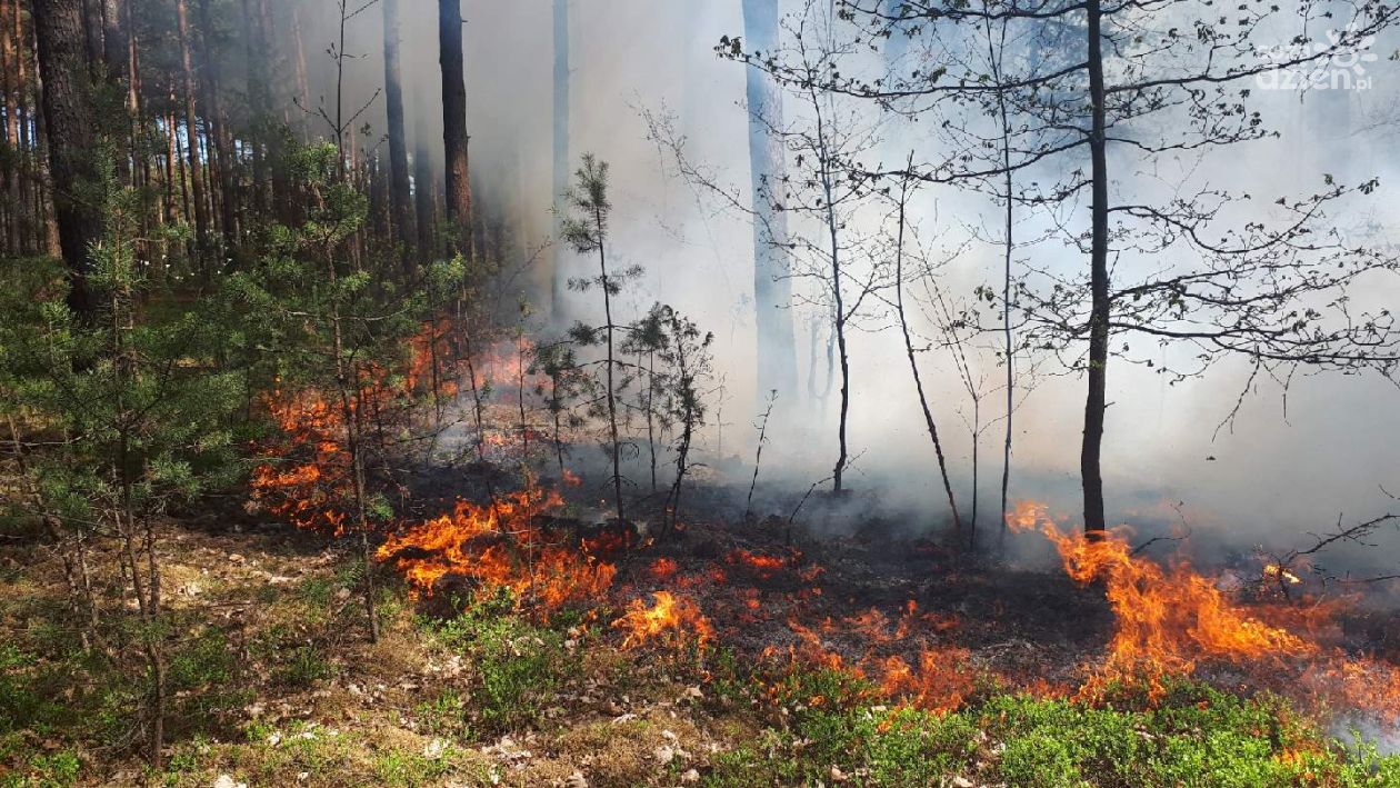 Wystarczy iskra i może wybuchnąć ogromny pożar