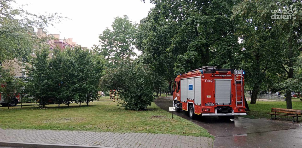 Środowe burze nad Radomiem i powiatem radomskim. Zalane ulice, połamane gałęzie