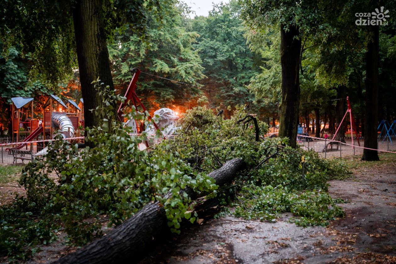 Zniszczenia po burzy w Parku Kościuszki (zdjęcia)