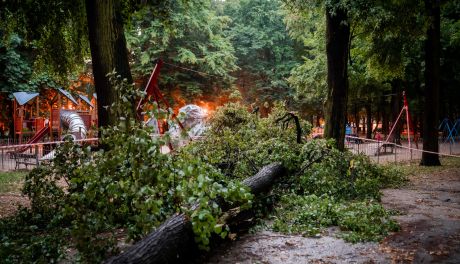 Zdjęcia Zniszczenia po burzy w Parku Kościuszki (zdjęcia)