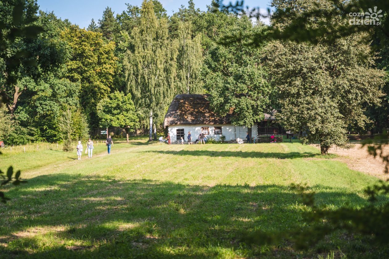 Święto plonów w Muzeum Wsi Radomskiej