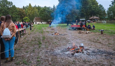 Festiwal Ziemniaka w Muzeum Wsi Radomskiej 