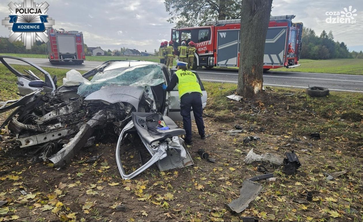 Tragiczny wypadek z udziałem pijanego kierowcy. Sprawca tymczasowo aresztowany