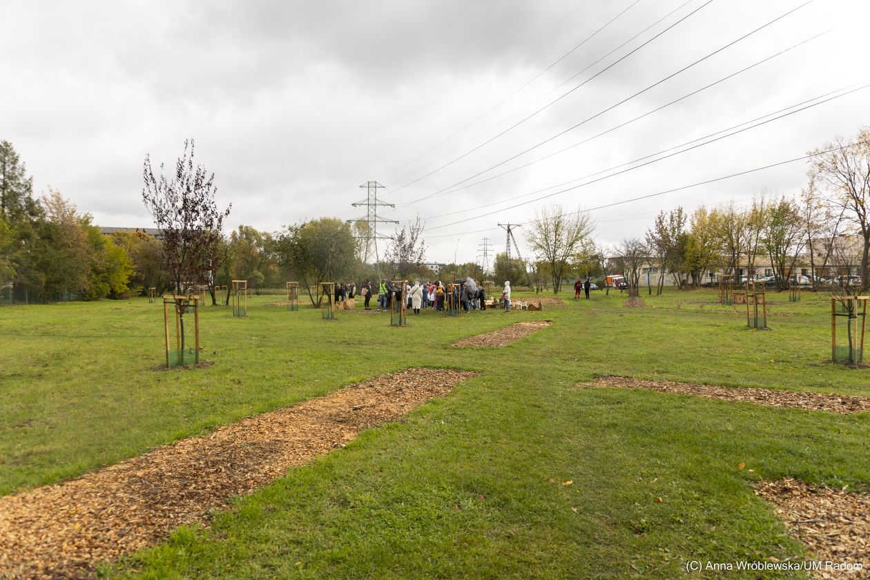 Na Prędocinku powstał eko-park