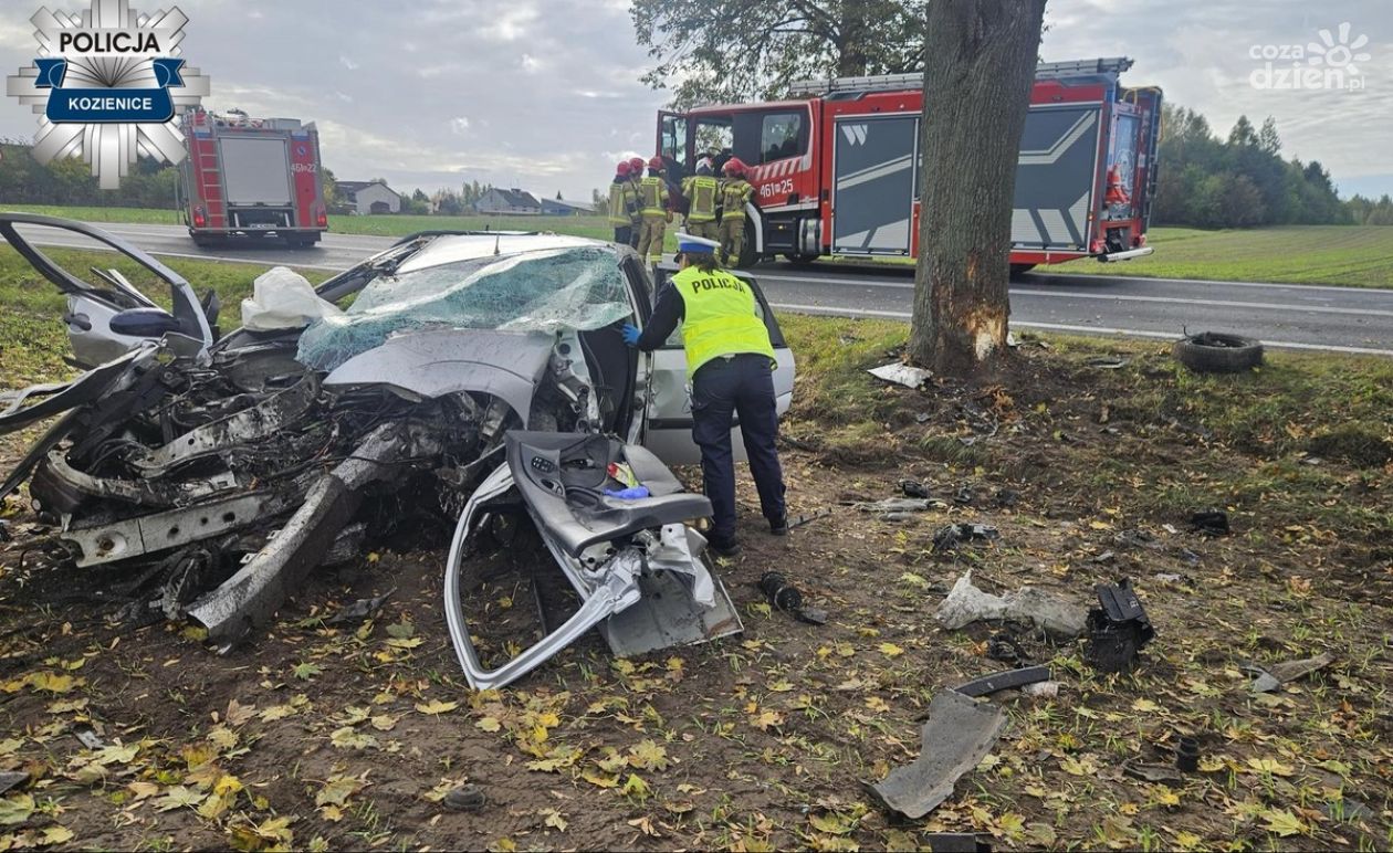 Trzy miesiące aresztu dla sprawcy śmiertelnego wypadku