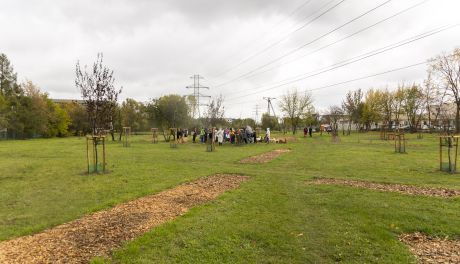 Na Prędocinku powstał eko-park