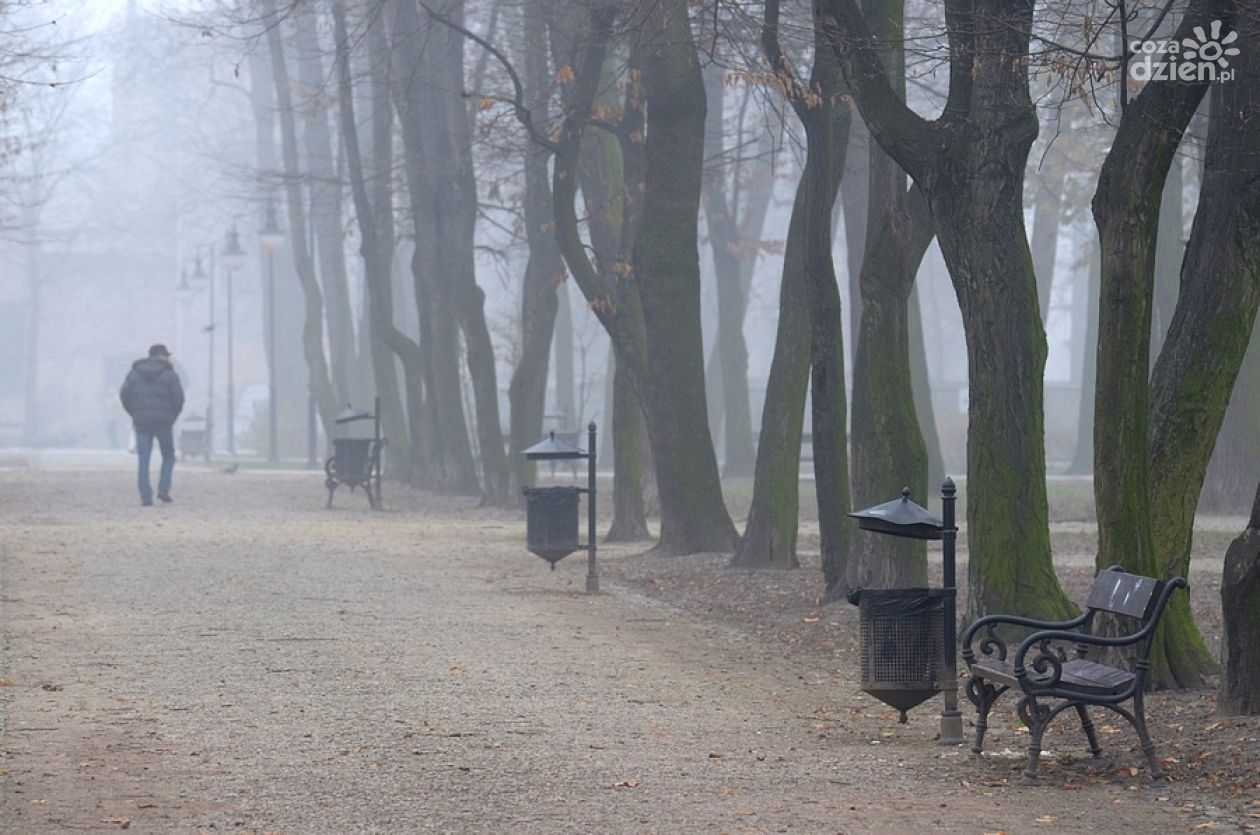 Uwaga na gęstą mgłę! IMGW ostrzega 