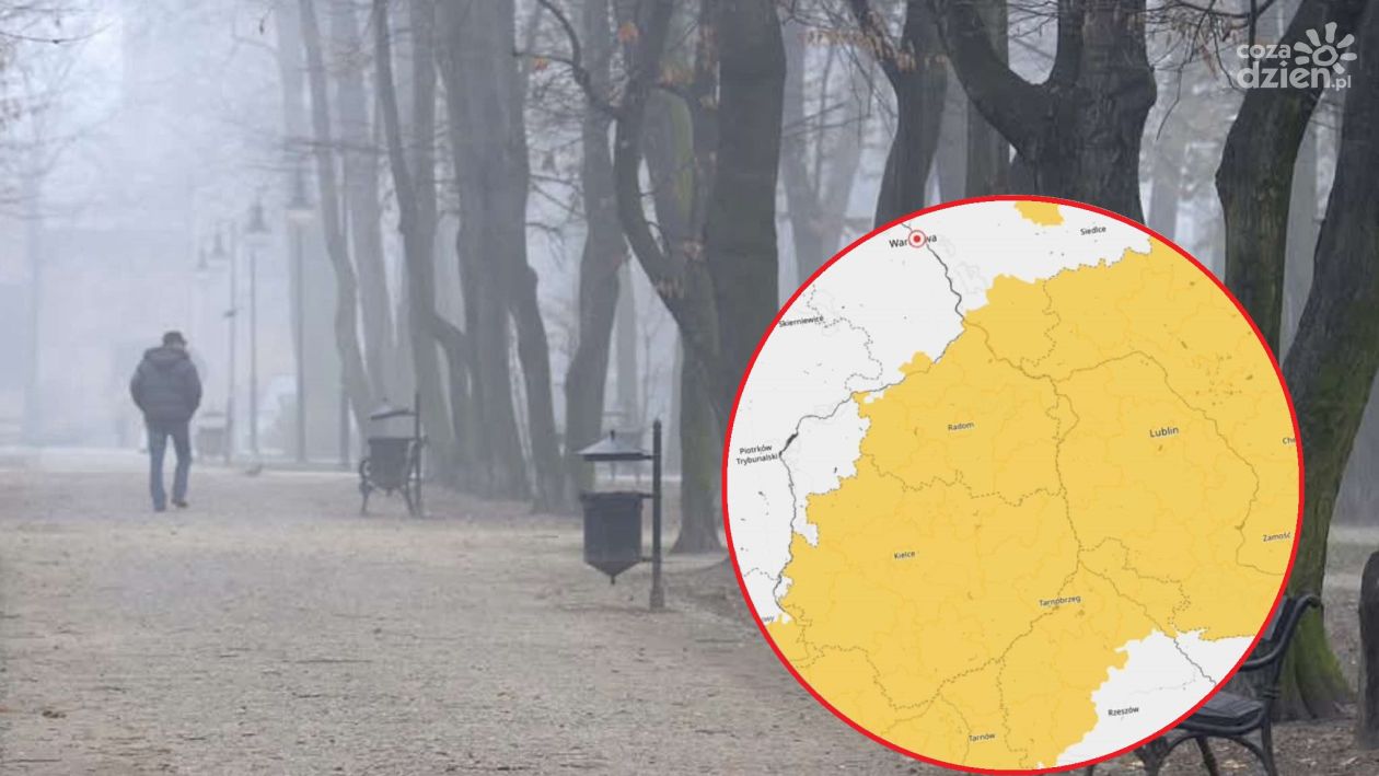 Niebezpiecznie na drogach. Alert przed mgłami i oblodzeniem 