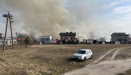 Ogromny pożar pod Radomiem. Spłonęło 90 ha traw 