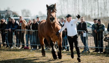 Skaryszewskie Wstępy po raz 392.