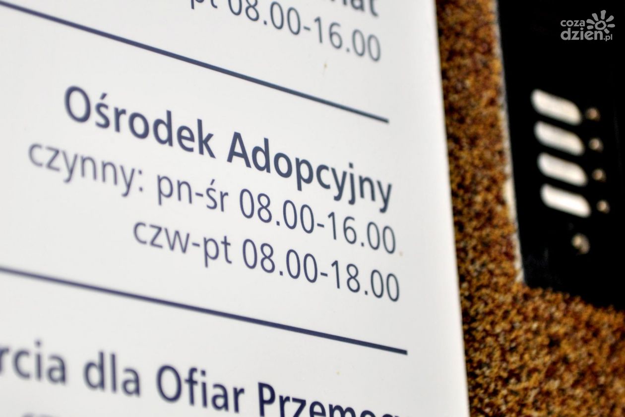 Dziś światowy dzień adopcji