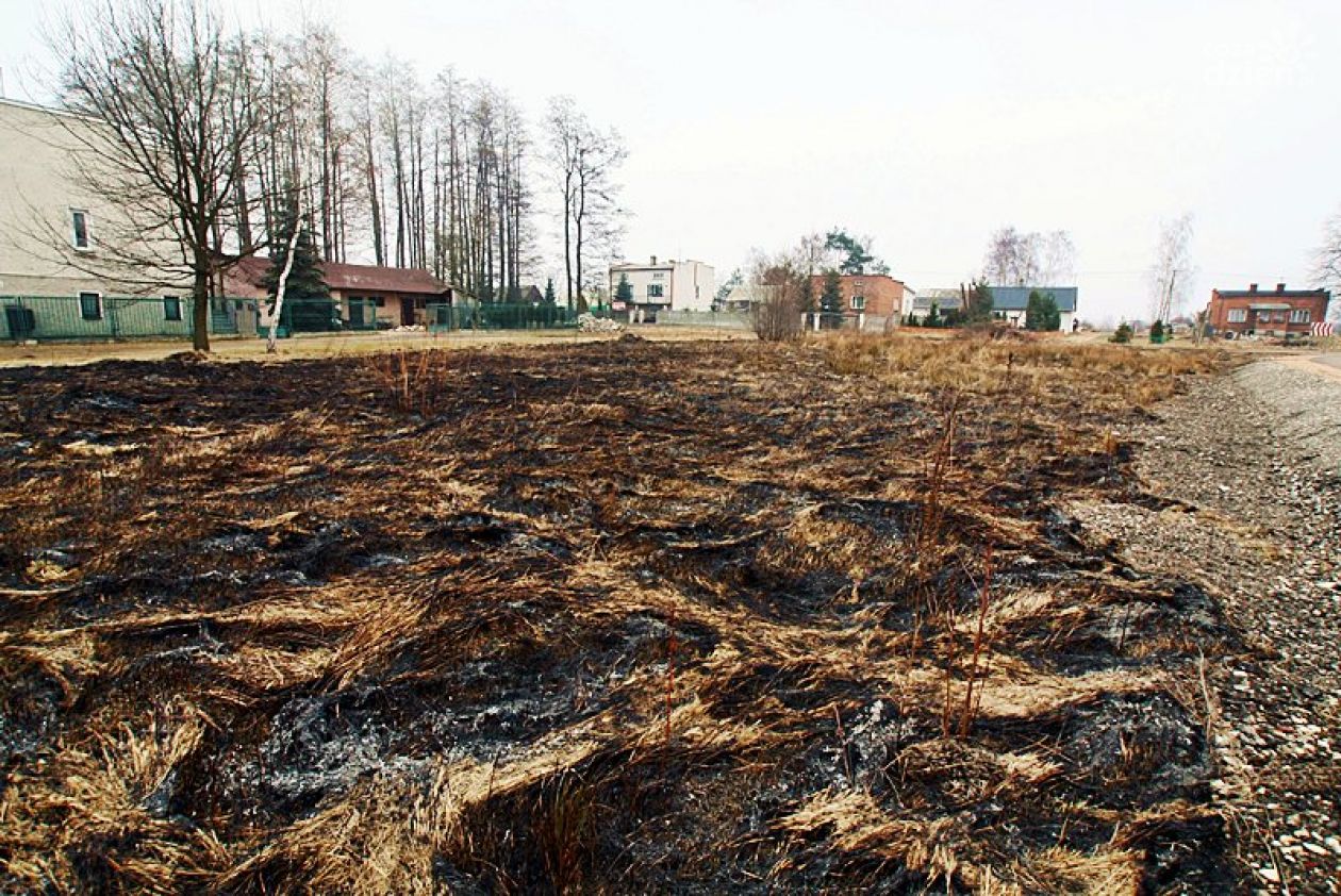 Płoną trawy. Już ponad 100 interwencji