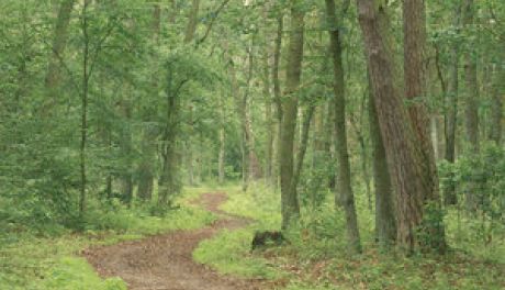 Do sanatorium z ZUS: za darmo i bez kolejek